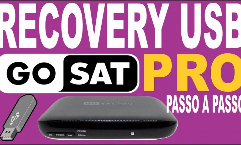 Recovery USB Gosat